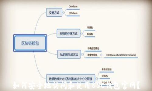 
如何安全地访问和使用BSC钱包官网？