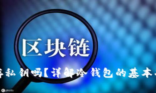 冷钱包能保存私钥吗？详解冷钱包的基本功能与安全性