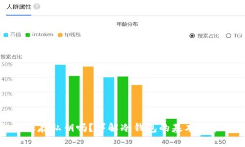 冷钱包能保存私钥吗？详解冷钱包的基本功能与安全性