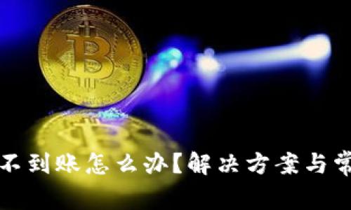 TP钱包闪兑不到账怎么办？解决方案与常见问题解析