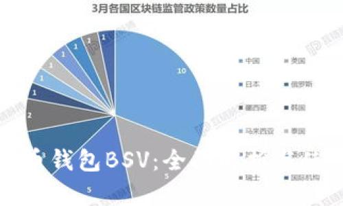 TP比特币钱包BSV：全面解析与使用指南