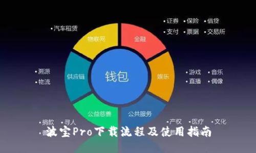 波宝Pro下载流程及使用指南