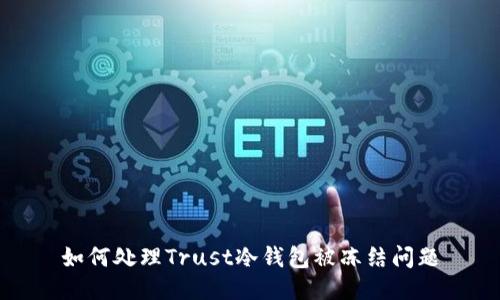 如何处理Trust冷钱包被冻结问题