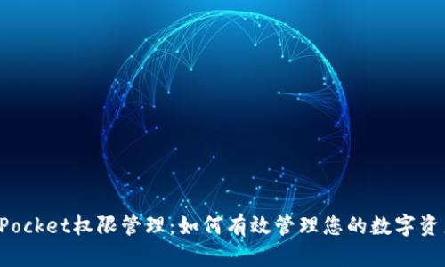 TokenPocket权限管理：如何有效管理您的数字资产安全