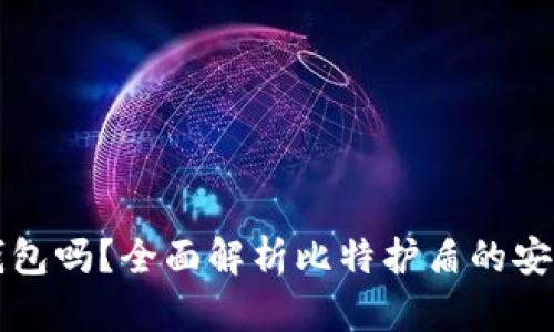 比特护盾是冷钱包吗？全面解析比特护盾的安全性与使用方法