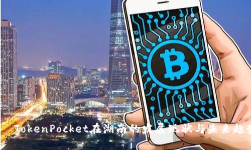 标题:  TokenPocket在湖南的发展现状与未来趋势分析