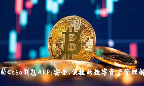 全面解析Cobo钱包APP：安全、便捷的数字资产管理解决方案