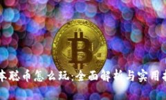 中本聪币怎么玩：全面解析与实用指南