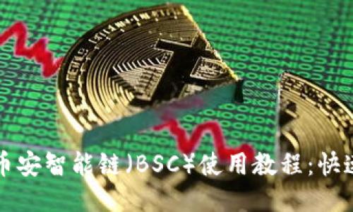 TP钱包里币安智能链（BSC）使用教程：快速上手指南