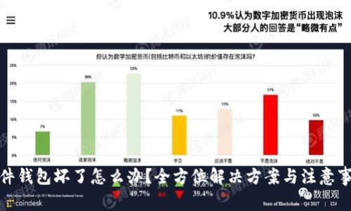 硬件钱包坏了怎么办？全方位解决方案与注意事项