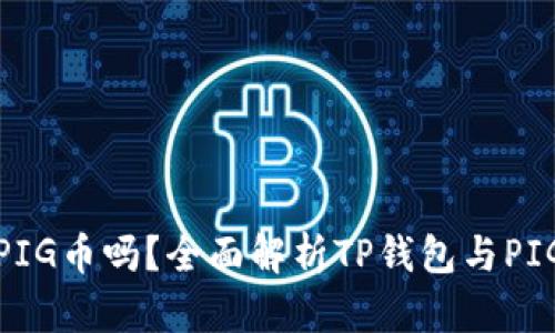 TP钱包支持PIG币吗？全面解析TP钱包与PIG币的兼容性