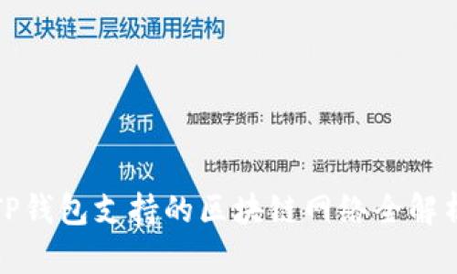 TP钱包支持的区块链网络全解析