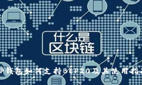 TP钱包如何支持BEP20及其使用指南