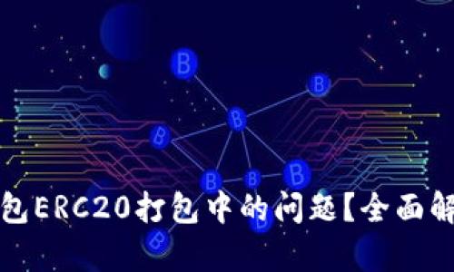 如何处理TP钱包ERC20打包中的问题?全面解析与解决方案