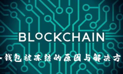 冷钱包被冻结的原因与解决方法