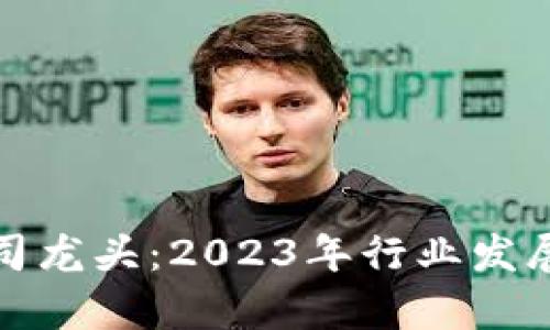 数字货币上市公司龙头:2023年行业发展与投资机会分析