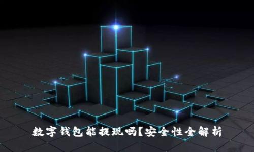 数字钱包能提现吗？安全性全解析