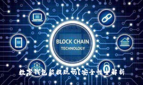 数字钱包能提现吗？安全性全解析