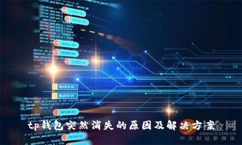 tp钱包突然消失的原因及解决方案