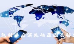 TP钱包转币后消失的原因及解决方法