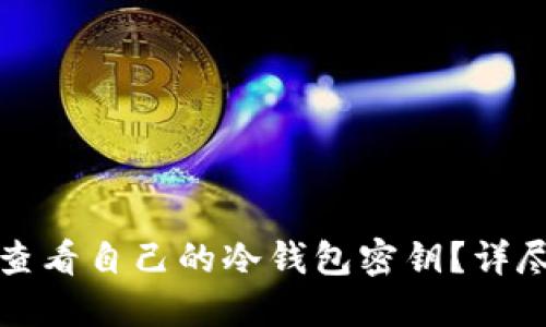 如何查看自己的冷钱包密钥?详尽指南