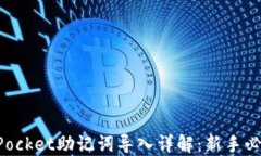 TokenPocket助记词导入详解:新手必看教程