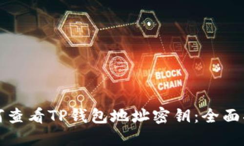 如何查看TP钱包地址密钥:全面指南