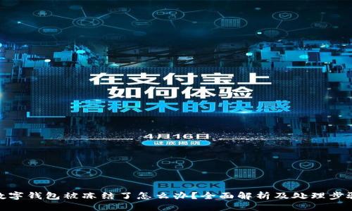 数字钱包被冻结了怎么办?全面解析及处理步骤