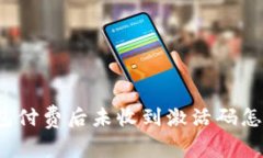 TP钱包付费后未收到激活码怎么办?