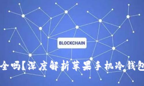 苹果手机的冷钱包安全吗?深度解析苹果手机冷钱包的安全性与使用方法