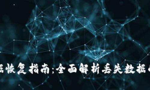 TP钱包数据恢复指南:全面解析丢失数据的找回方法