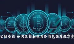 冷钱包公链查询:如何选择和使用冷钱包保障数