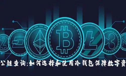 冷钱包公链查询:如何选择和使用冷钱包保障数字资产安全