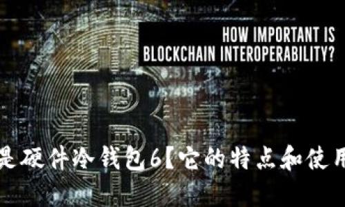什么是硬件冷钱包6?它的特点和使用指南