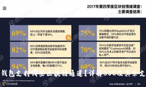 TP钱包支持哪些区块链通道?详解BSC及其余支持