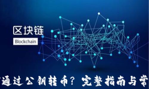 TP钱包如何通过公钥转币? 完整指南与常见问题解答