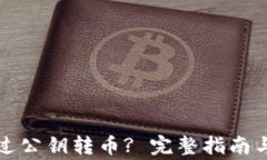 TP钱包如何通过公钥转币? 完整指南与常见问题解