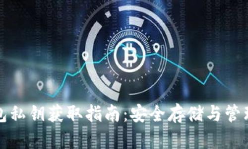 TP钱包私钥获取指南:安全存储与管理技巧