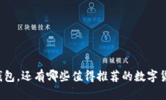 除了TP钱包,还有哪些值得推荐的数字货币钱包?