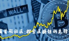 币圈首码社区:探索区块链的先锋平台