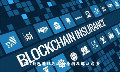USDT钱包转账延迟的原因及解决方案