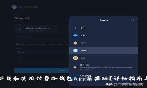 如何下载和使用付费冷钱包app苹果版?详细指南与建议