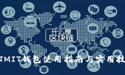 MTMIT钱包使用指南与实用技巧