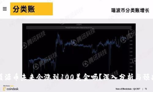 盛源币未来会涨到100美金吗?深入分析与预判