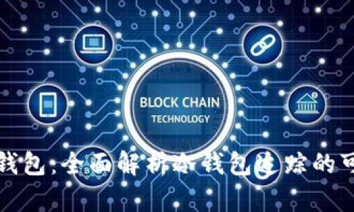 如何追踪冷钱包：全面解析冷钱包追踪的可能性与挑战
