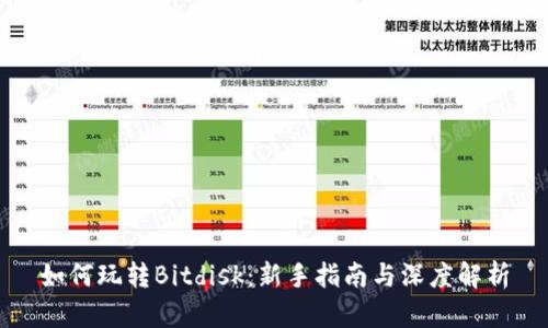 如何玩转Bitdisk:新手指南与深度解析