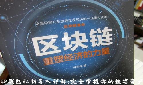TP钱包私钥导入详解:完全掌握你的数字资产
