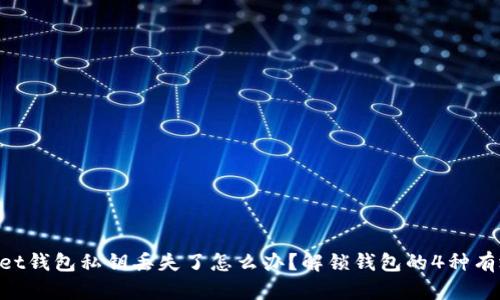 TokenPocket钱包私钥丢失了怎么办？解锁钱包的4种有效恢复方法