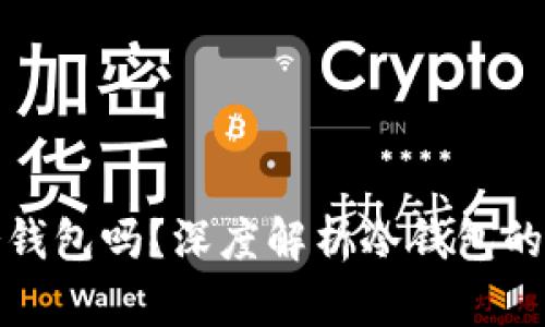 每一种币都有冷钱包吗?深度解析冷钱包的必要性与安全性