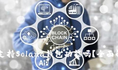 ### TP钱包支持Solana钱包功能吗？全面解析与使用指南